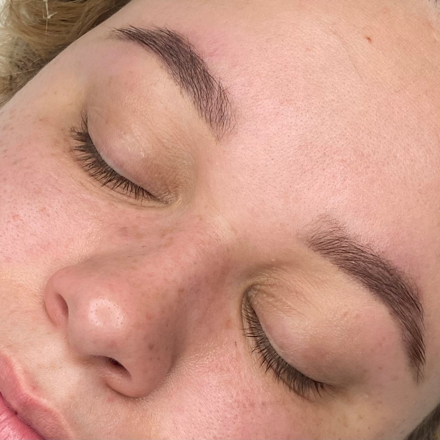 Brow Wax + Tint